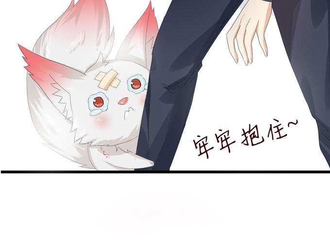 第245页