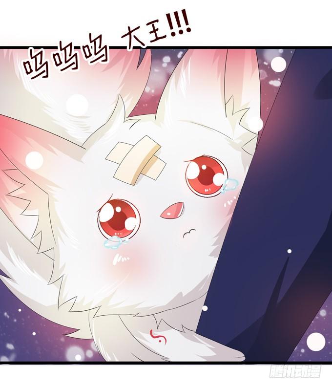 第246页