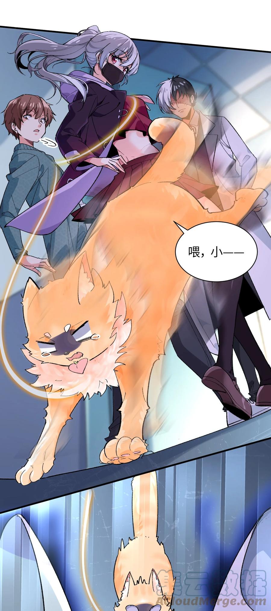 第61页