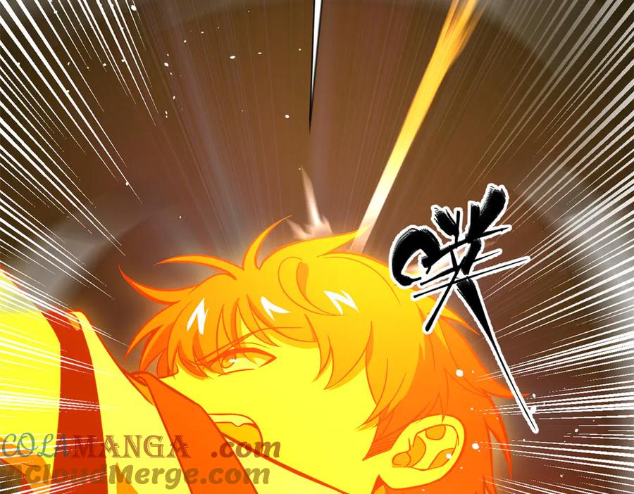 第205页