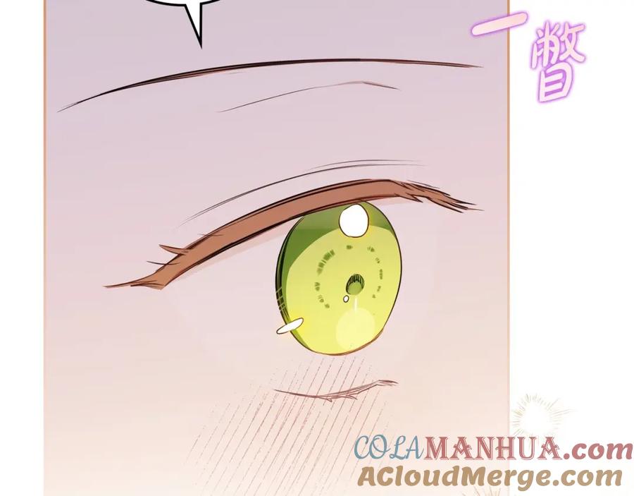 第205页