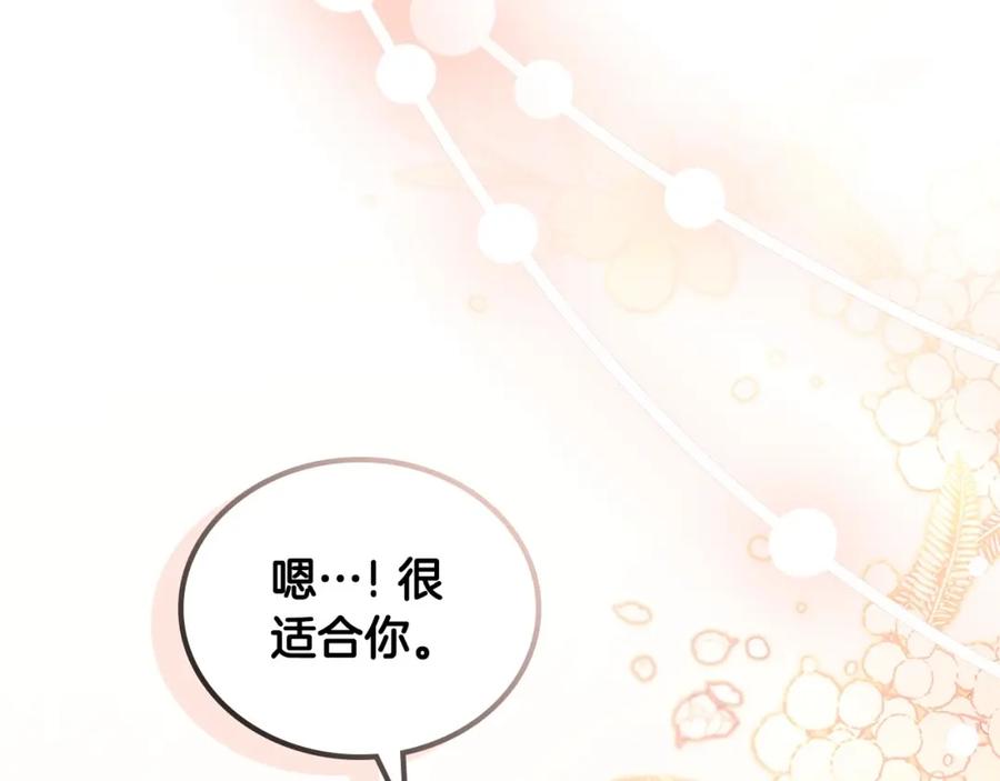 第223页