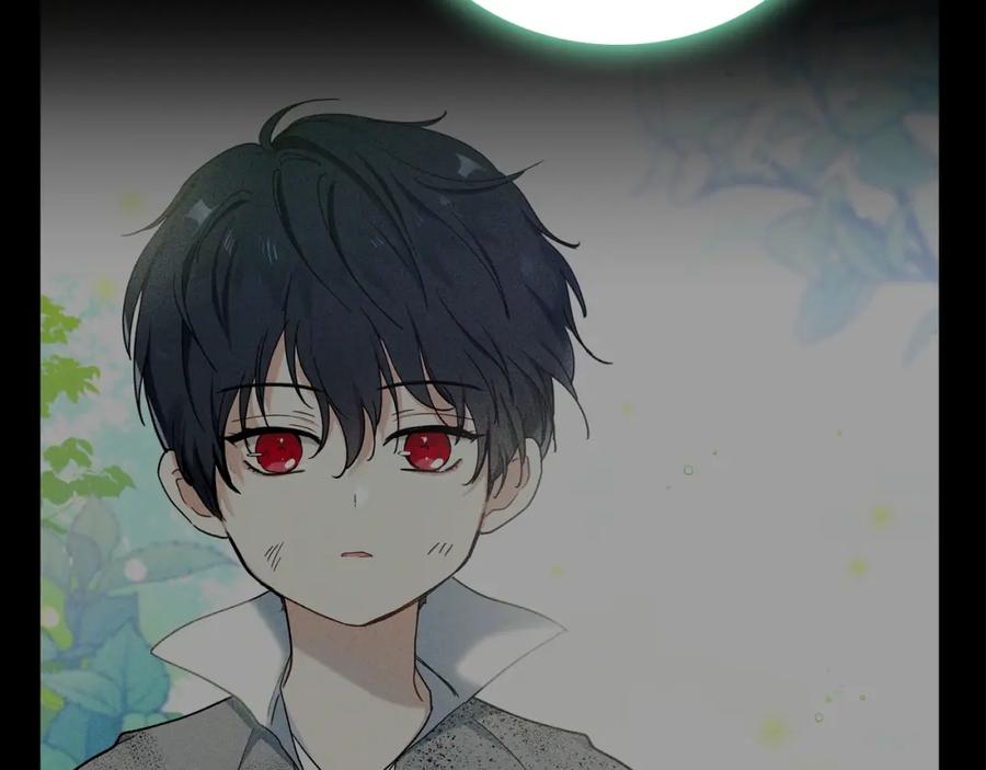 第215页