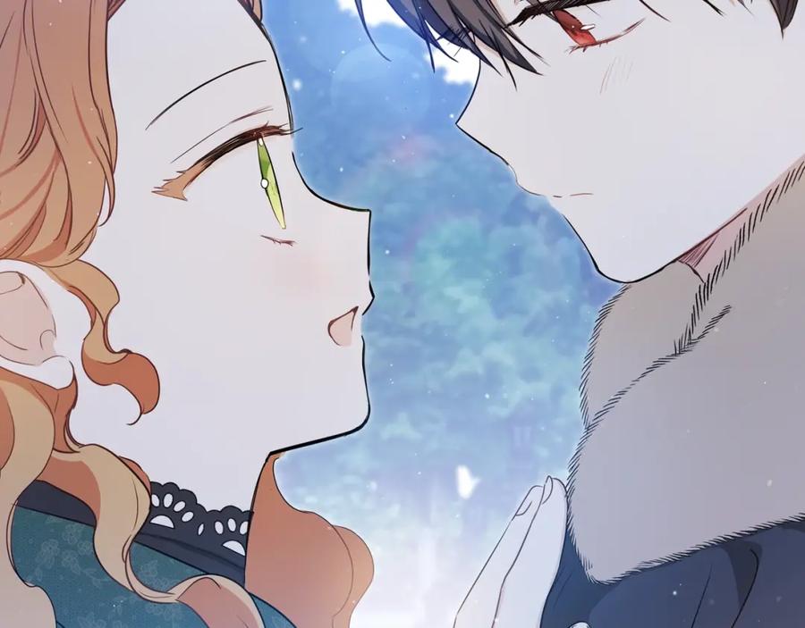 第243页