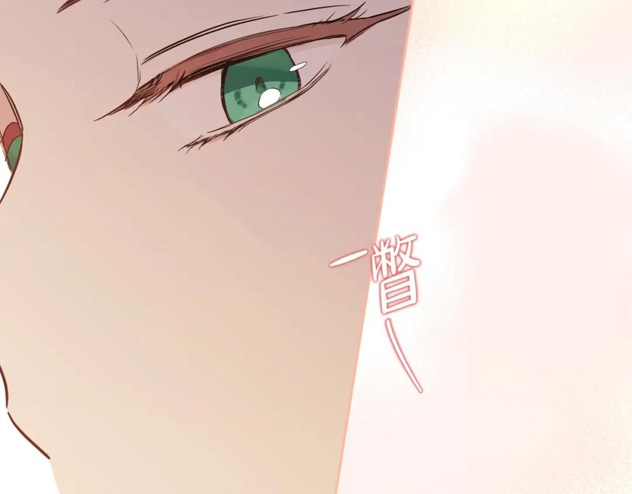 第260页