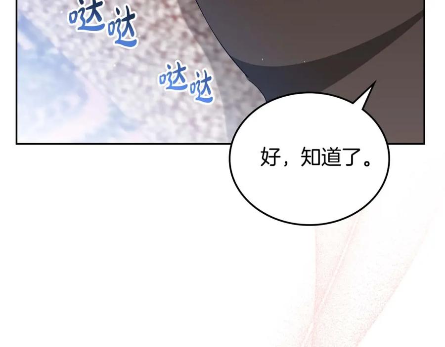 第242页