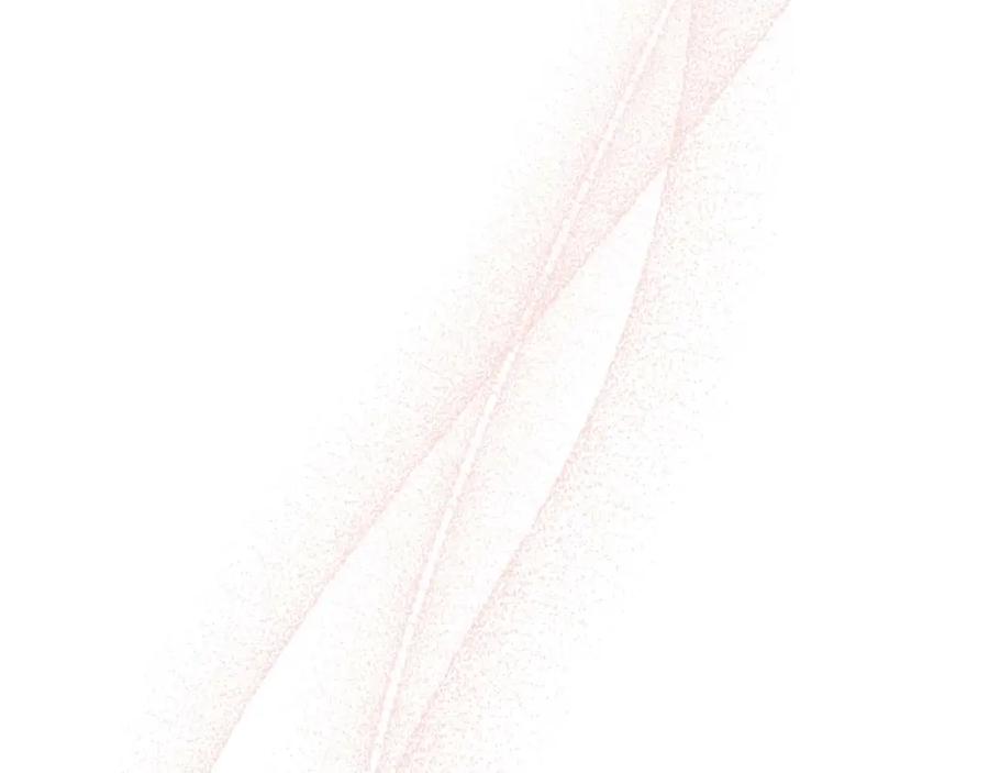 第243页