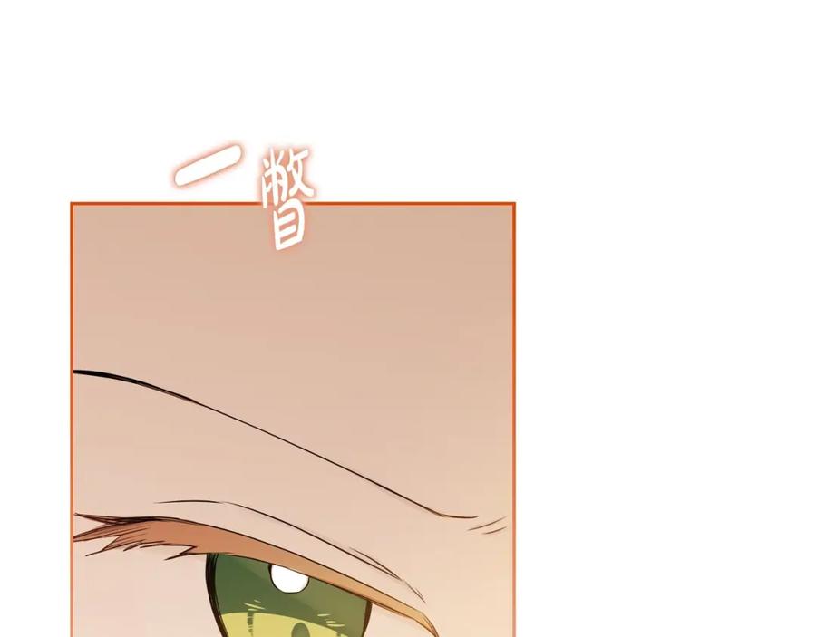 第238页