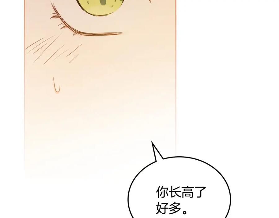 第239页