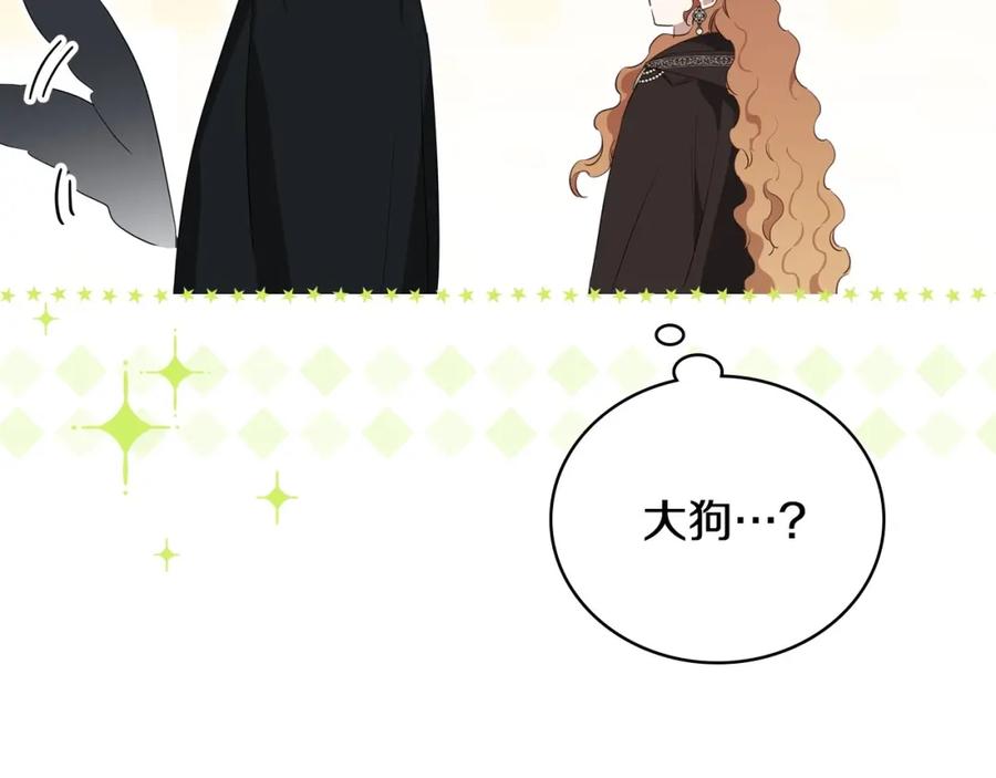 第242页