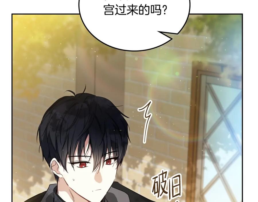 第251页