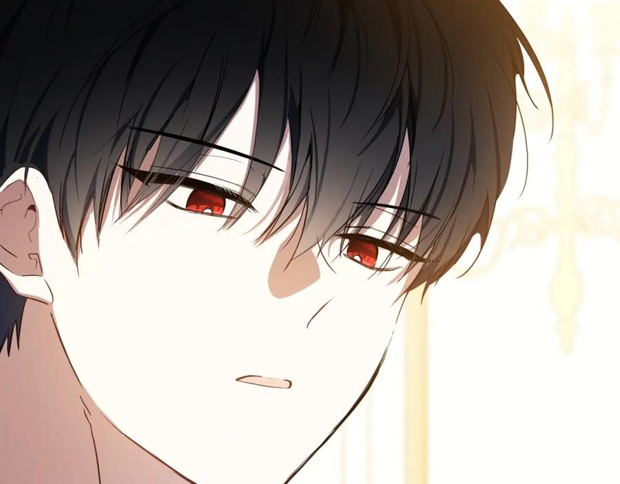 第231页
