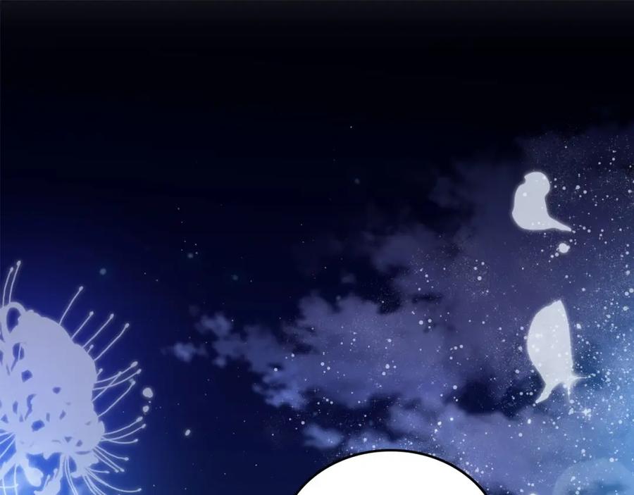 第251页