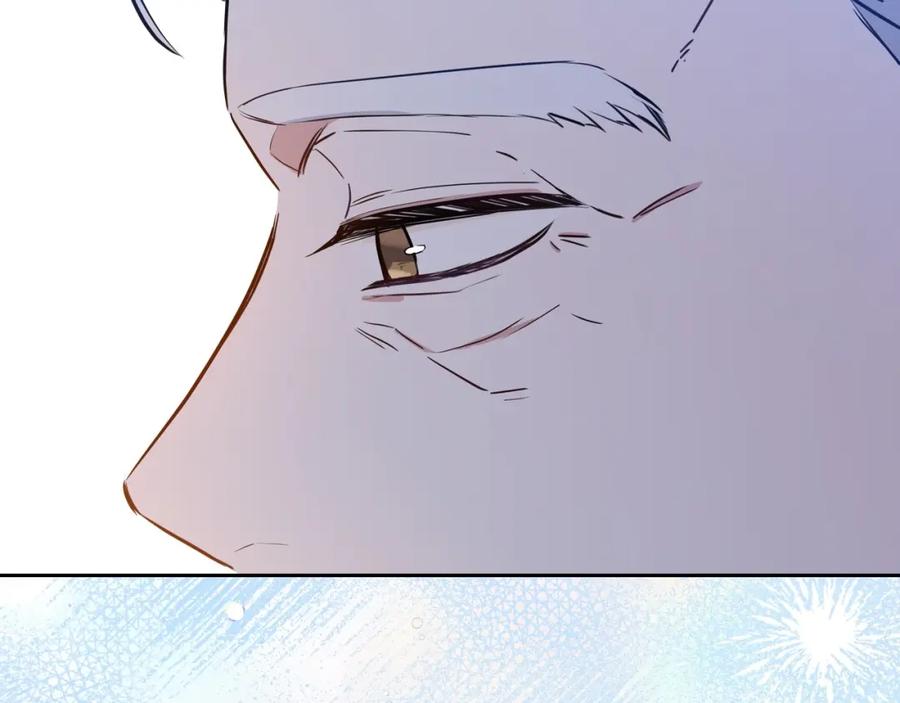 第256页