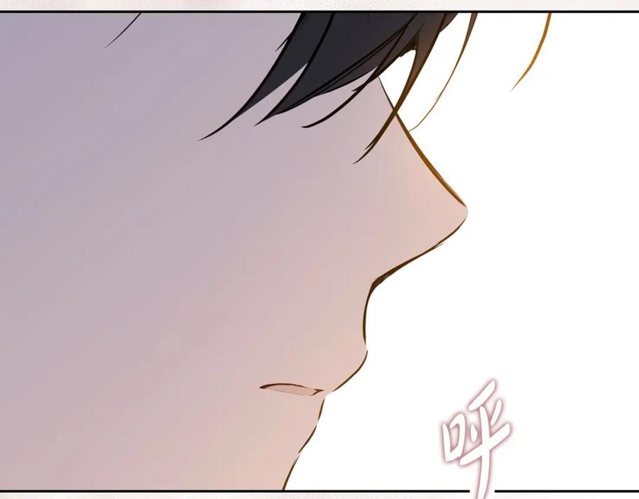第244页