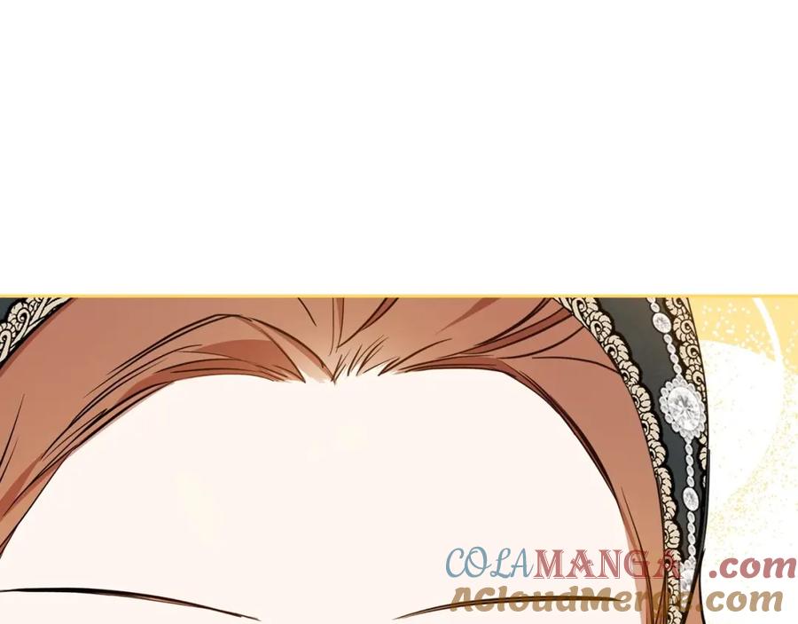 第233页