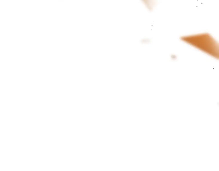 第250页