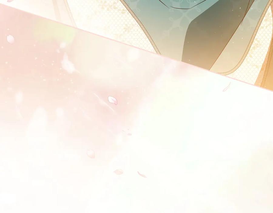 第255页