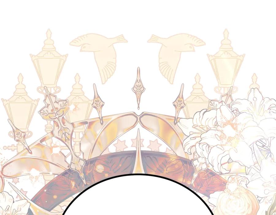 第243页
