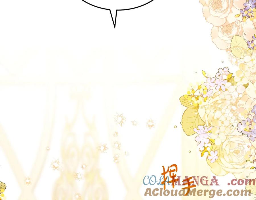 第241页