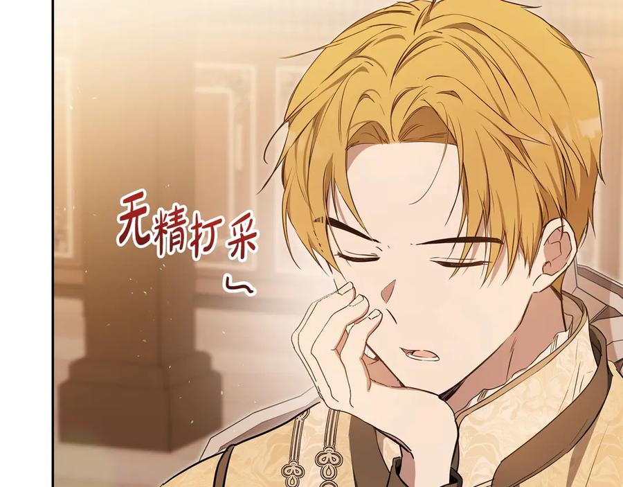 第204页