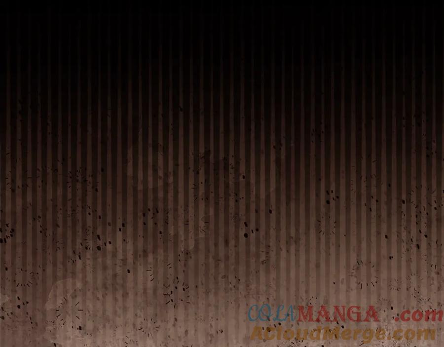 第241页