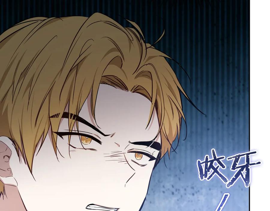 第228页