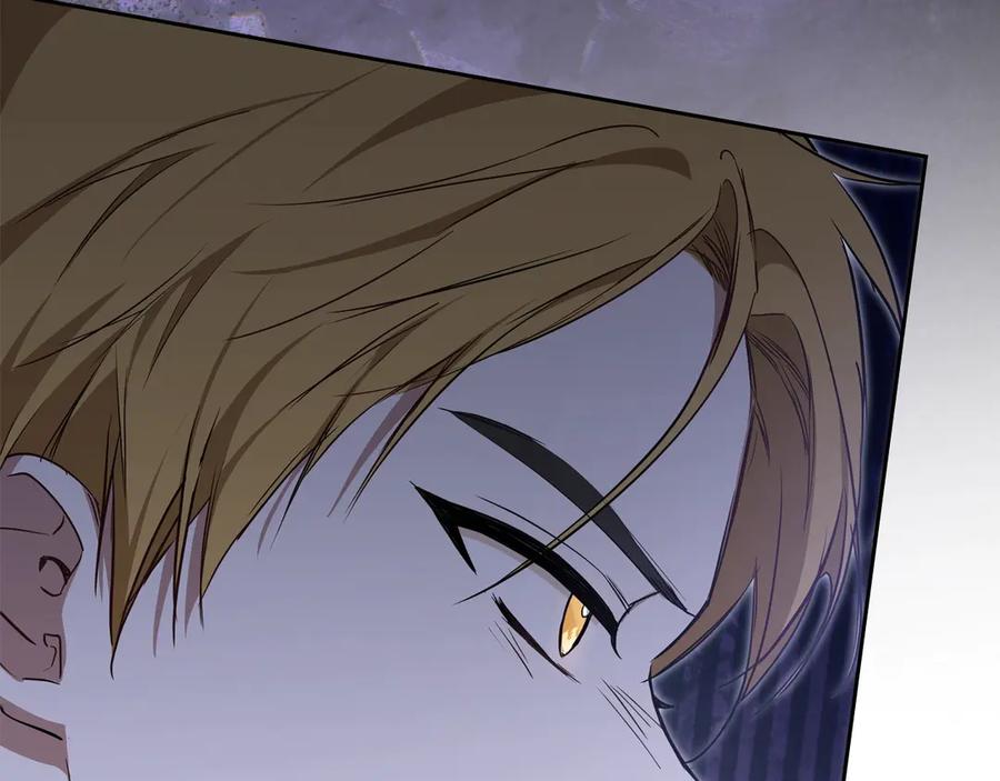 第242页