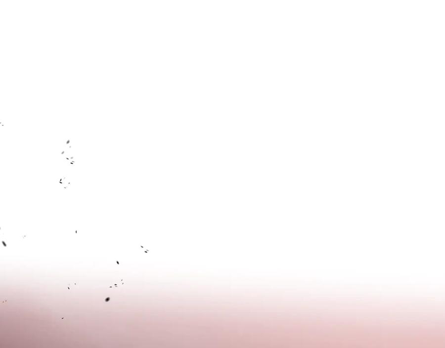 第260页