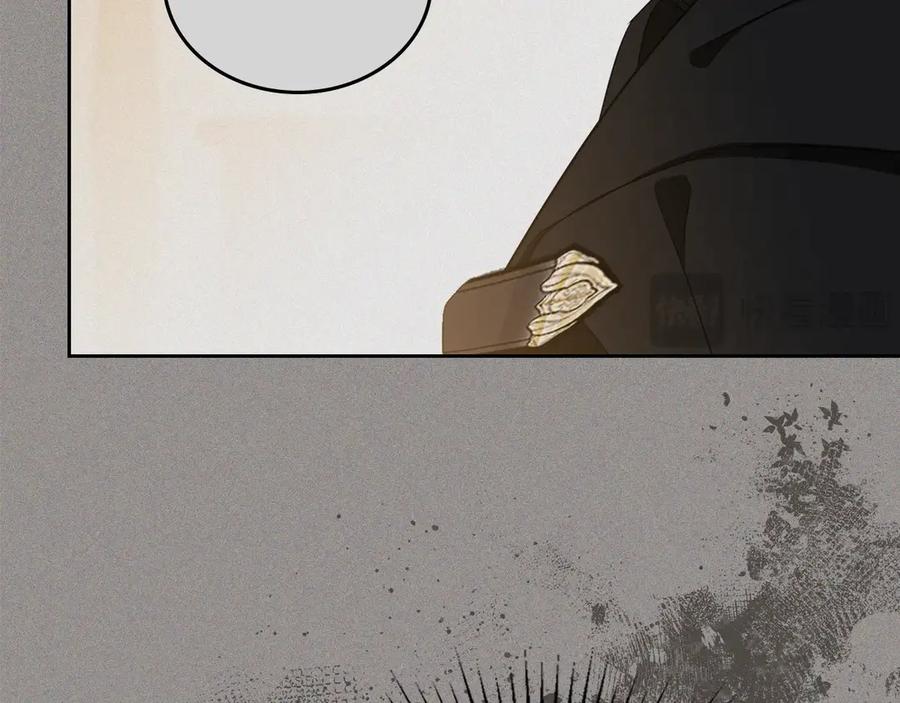 第215页