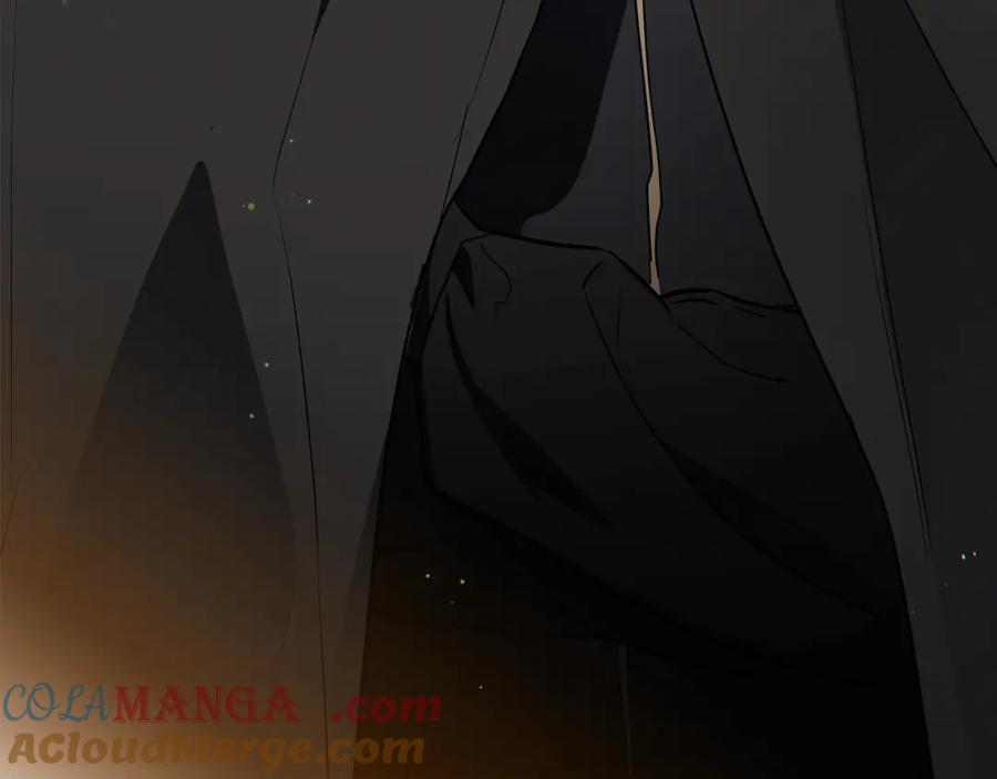 第233页