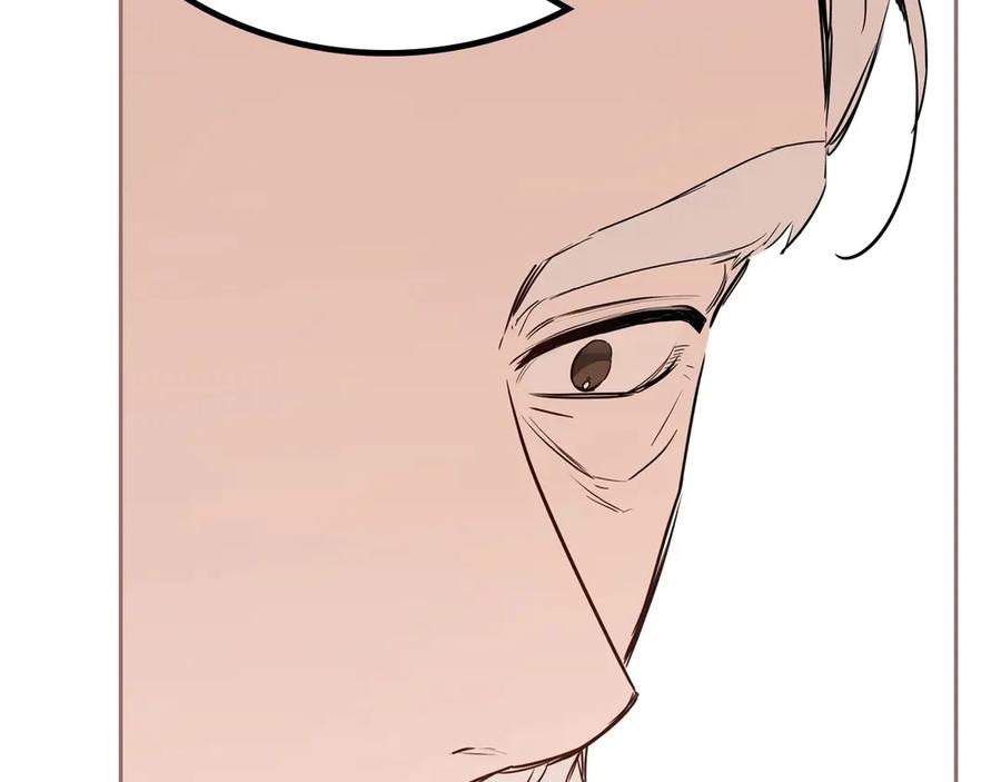 第239页