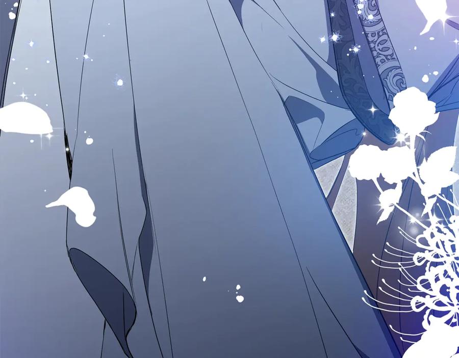 第242页