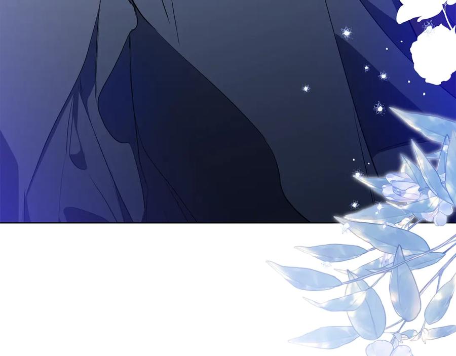 第243页