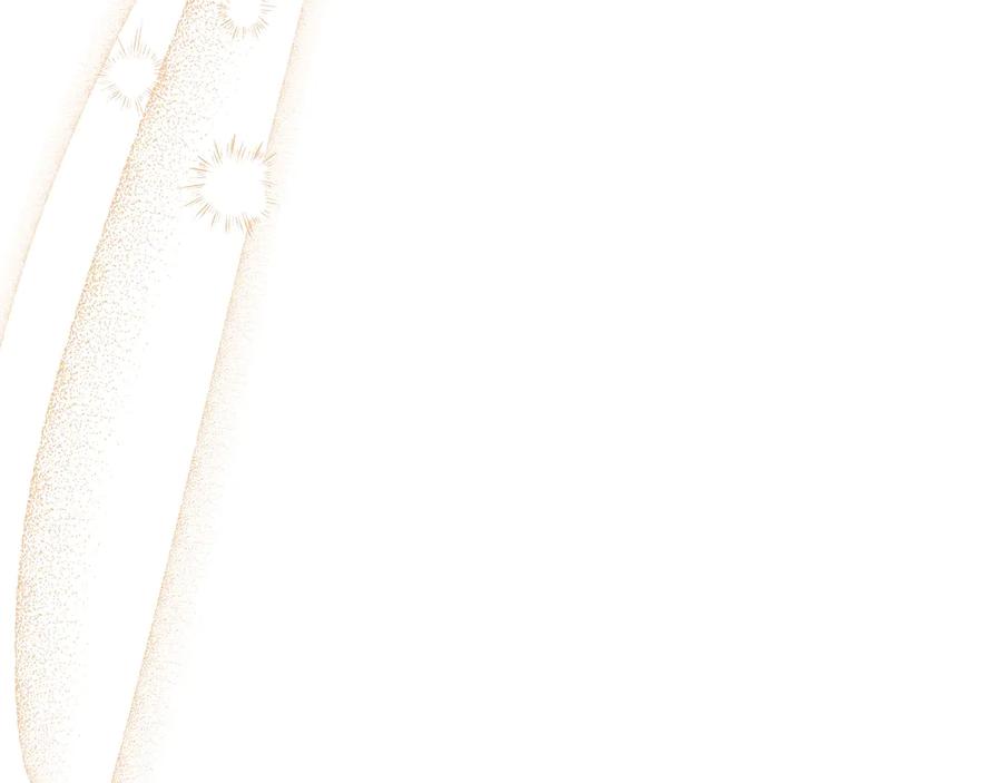 第248页