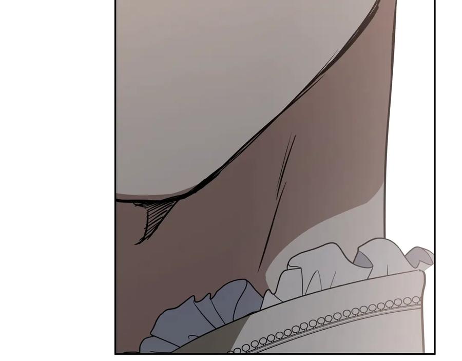 第242页