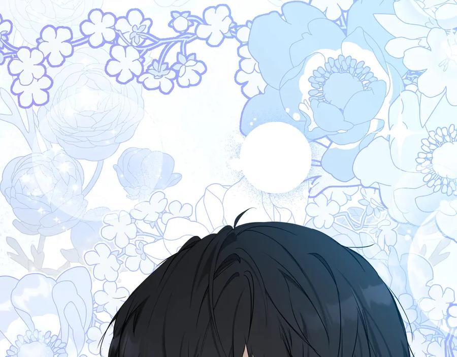 第255页