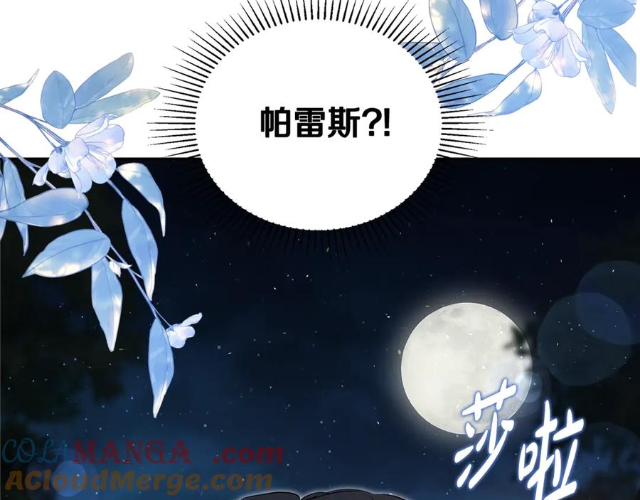 第213页