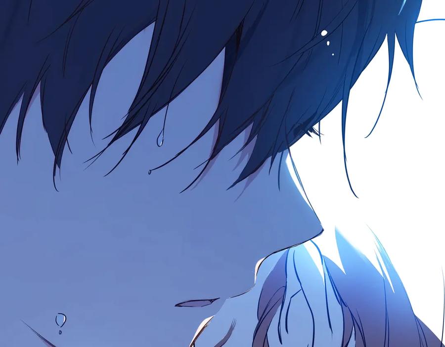 第256页