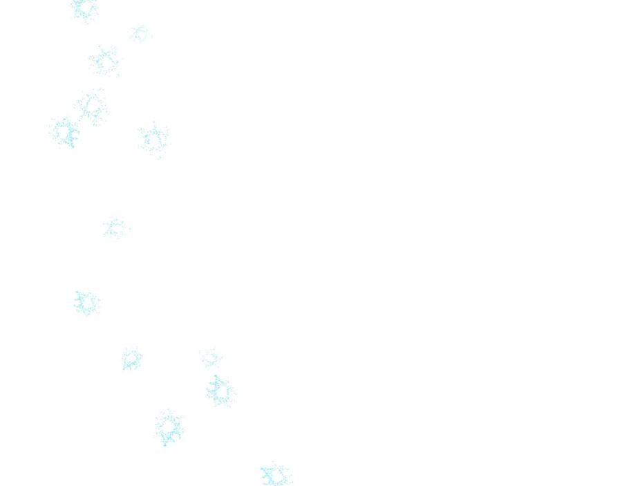 第239页