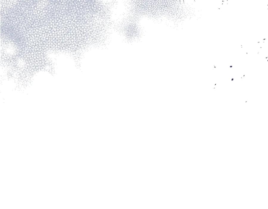 第260页