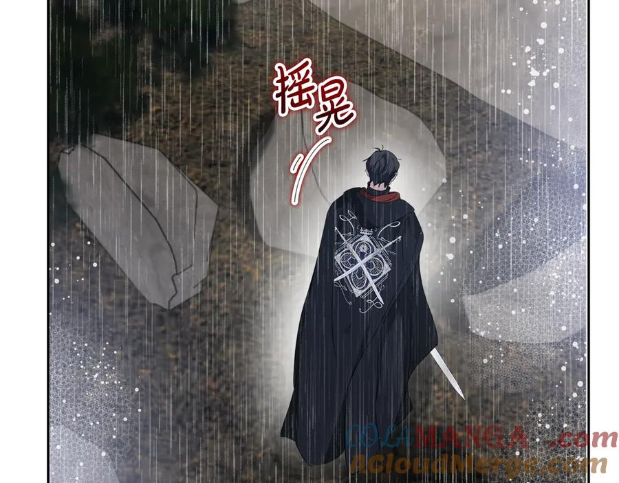 第204页