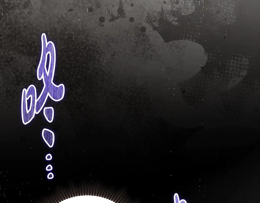 第262页