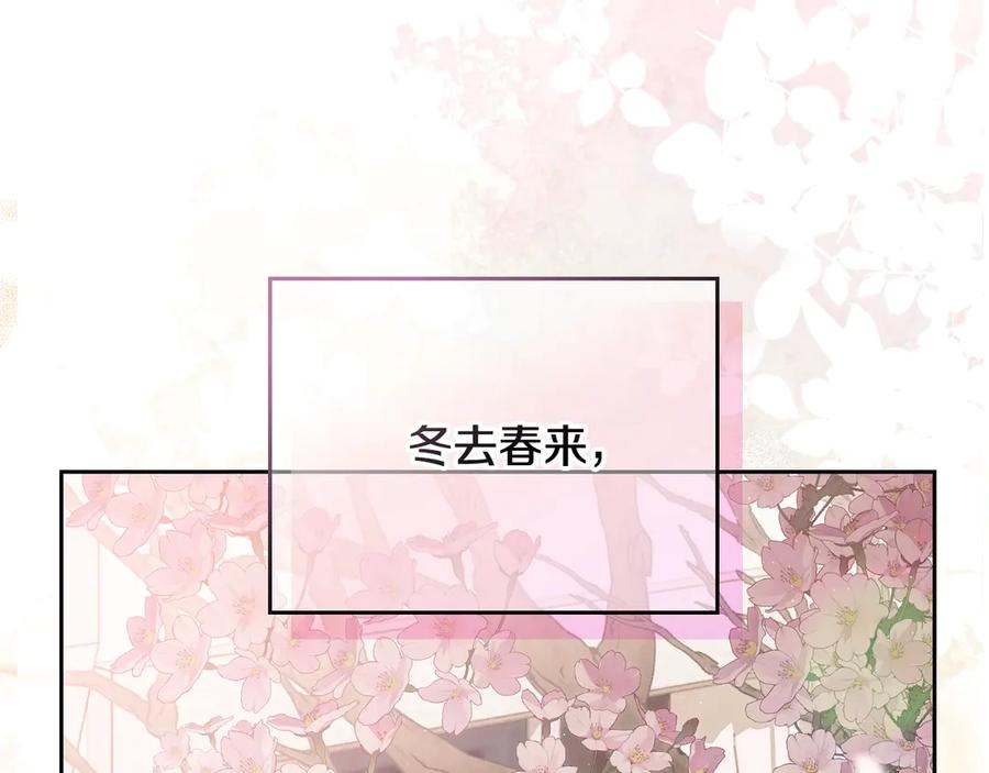 第247页