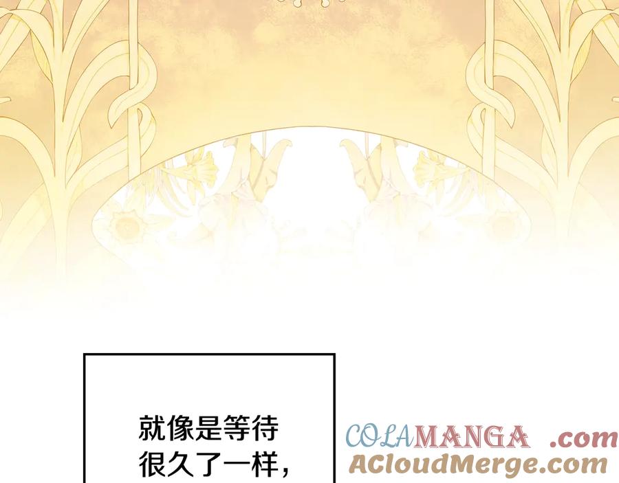 第253页