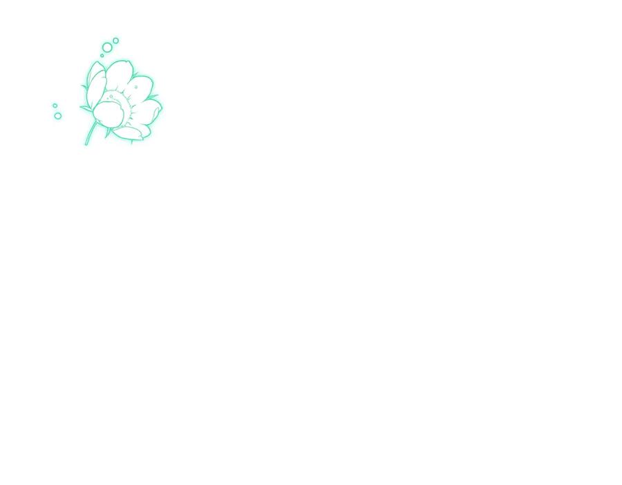 第279页