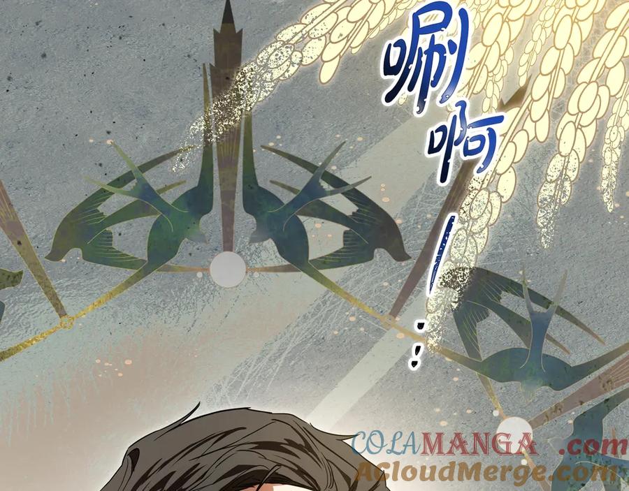 第217页