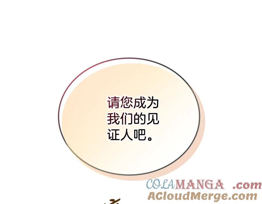 第217页