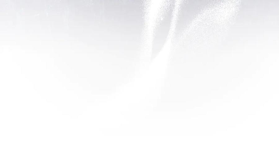 第239页