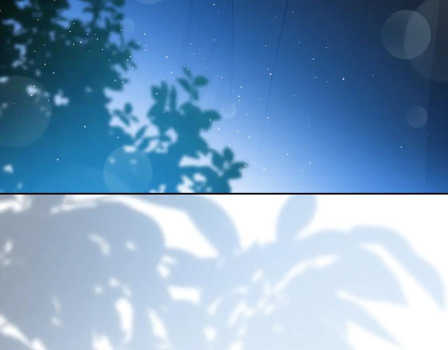 第247页